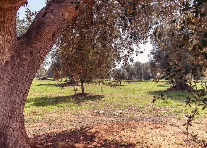 Apartamento Trullo Magico Ostuni