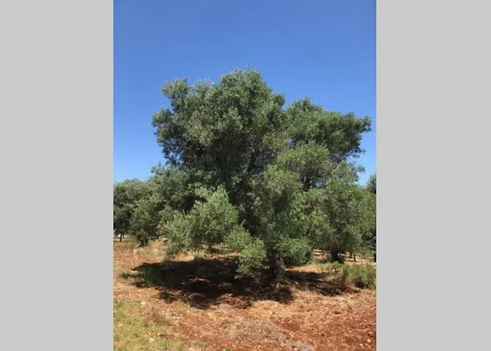 Trullo Magico Apartamento *