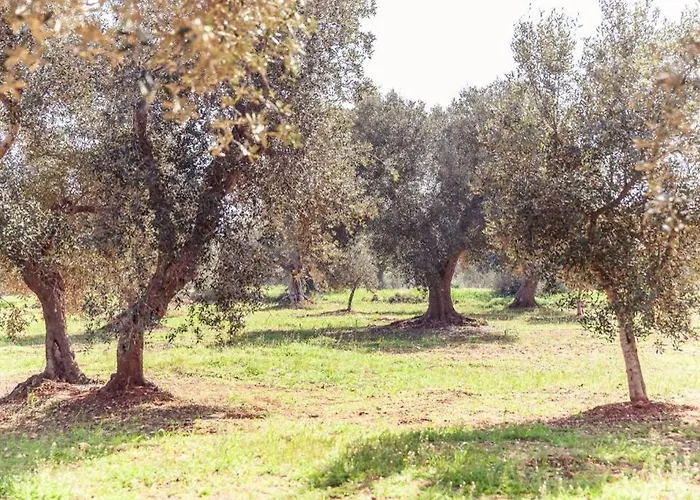 Trullo Magico * Ostuni