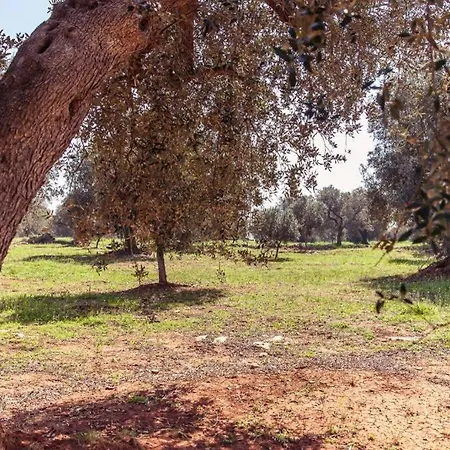 Apartment Trullo Magico Ostuni