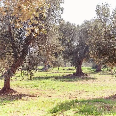 Trullo Magico * أوستوني